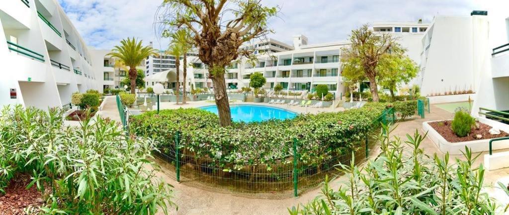 Optimist Playa De Las Americas Daire Dış mekan fotoğraf